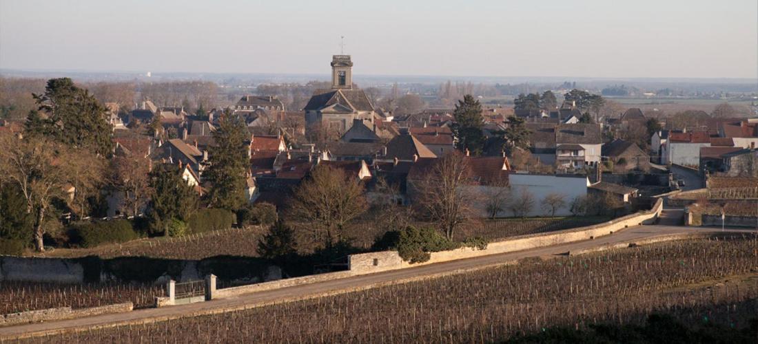 Domaine Violot-Guillemard Bed & Breakfast Pommard Luaran gambar